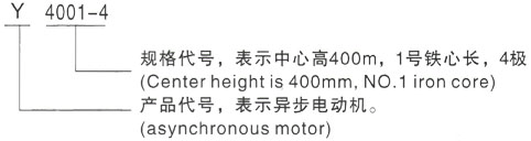 西安泰富西玛Y系列(H355-1000)高压YKK4502-4三相异步电机型号说明