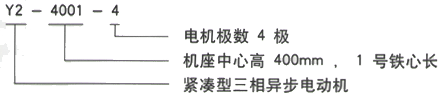 YR系列(H355-1000)高压YKK4502-4三相异步电机西安西玛电机型号说明